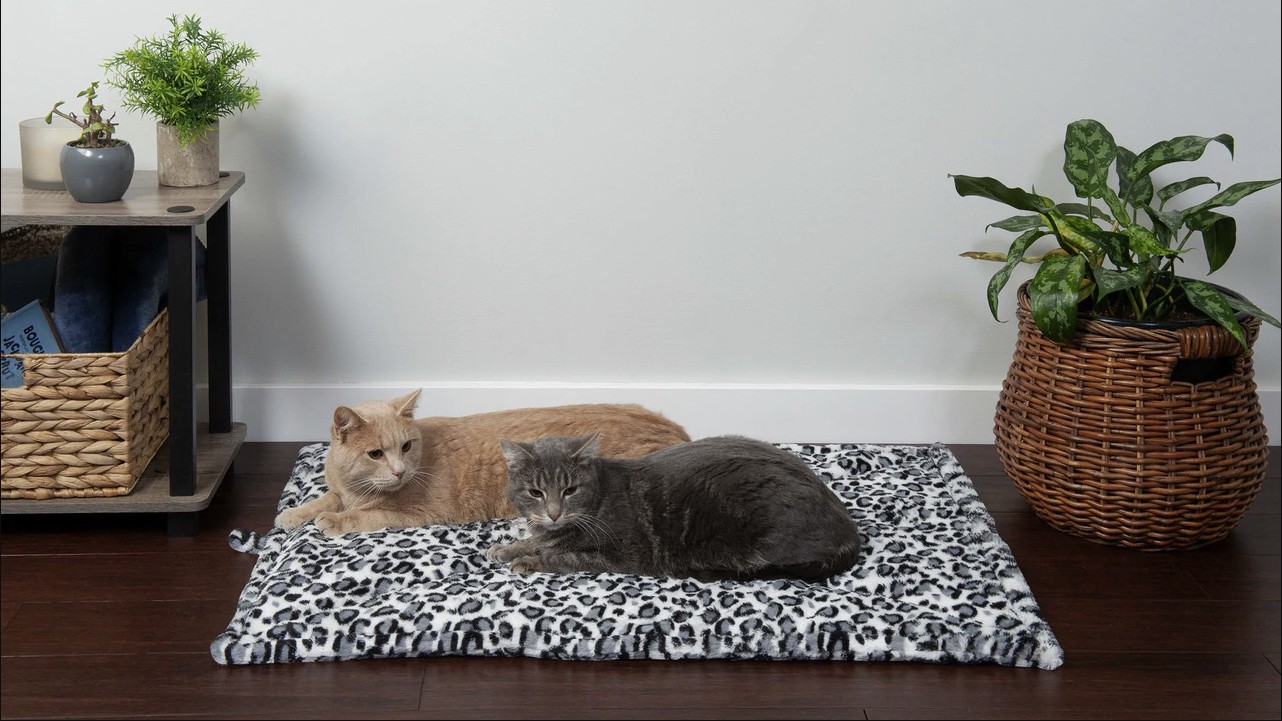 Best heated pet beds Keep your dog or cat warm and cozy PetsRadar