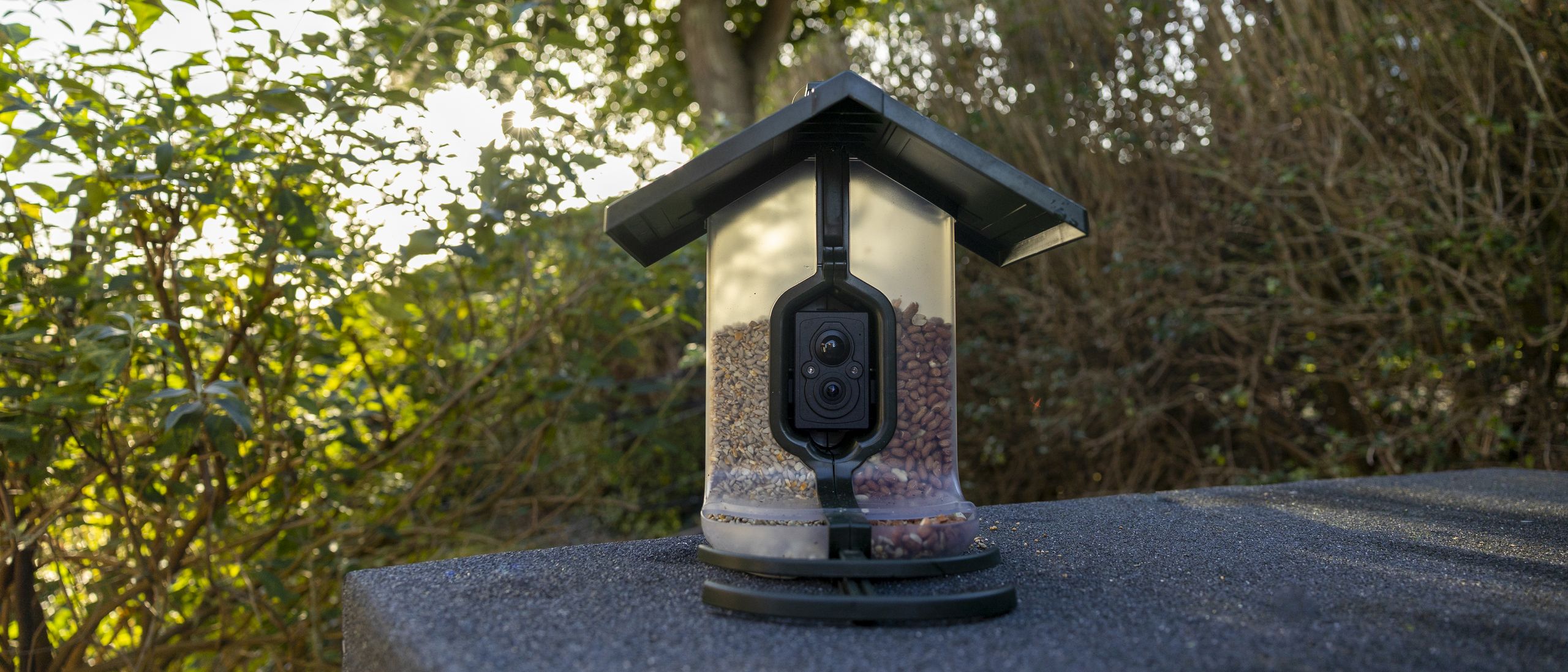 FeatherSnap Scout bird feeder camera review: less smart and more manual, but still fun for birders