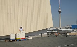 Berlin-based Stadtbienenhonig Company harvests honey on the city's flat roofs.
