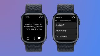 Screenshots of the Daily Random Facts app on Apple Watch