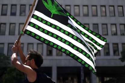A man waves a flag during a marijuana legalization protest. 