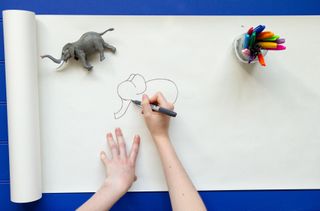 Draw the elephant's trunk