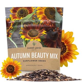 Autumn Beauty Sunflower Seeds – Extra Large Packet