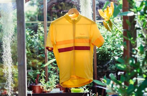 A yellow jersey hands inside a greenhouse