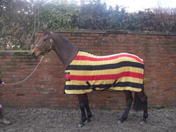 STRIPEFLEECE