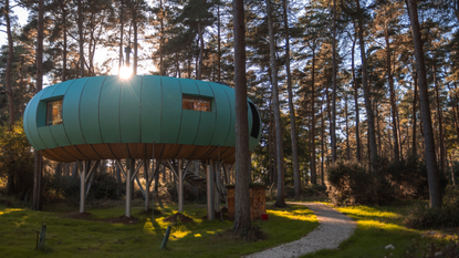 TreeDwellers retreat in the Cotswolds 