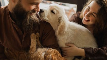 A man with a beard wearing a brown shirt looks down at the dog and cat in his lap while a woman with long brown hair watches. The dog is a young blond puppy and the cat is a brown tabby kitten