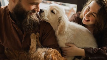 A man with a beard wearing a brown shirt looks down at the dog and cat in his lap while a woman with long brown hair watches. The dog is a young blond puppy and the cat is a brown tabby kitten