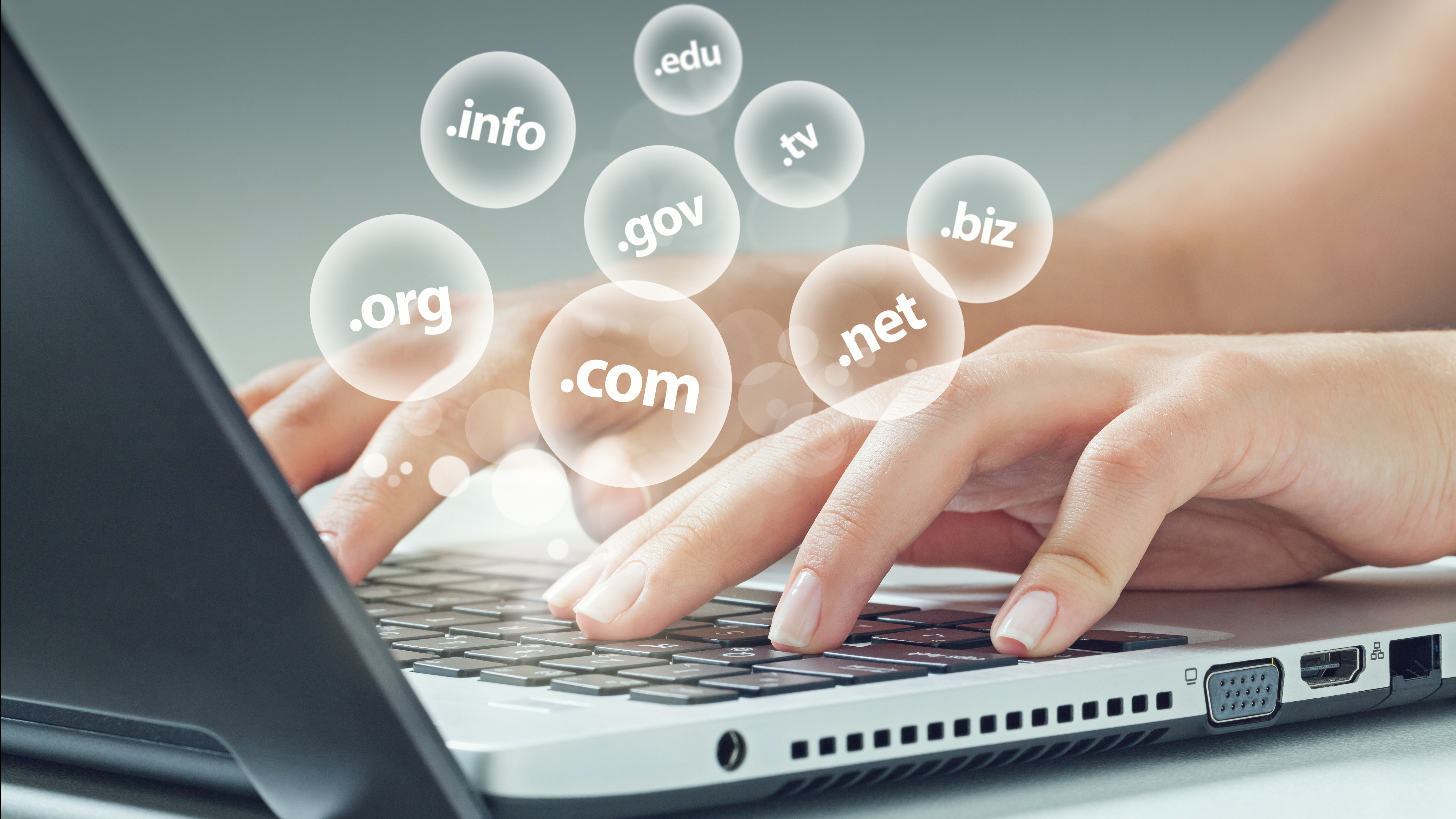 How to Determine Who Owns a Domain Name