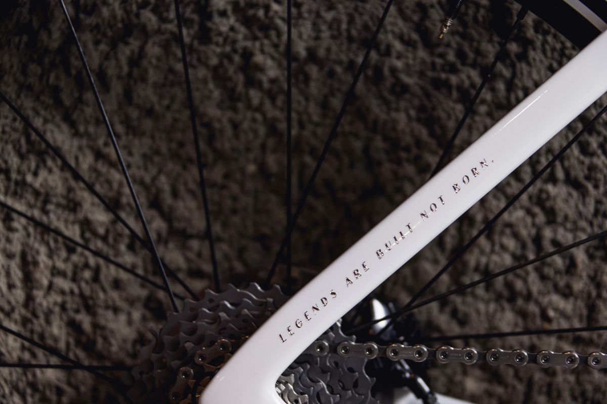 Remco Evenepoel Specialized
