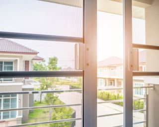 how to get rid of wasps - fly screen netting on window - getty