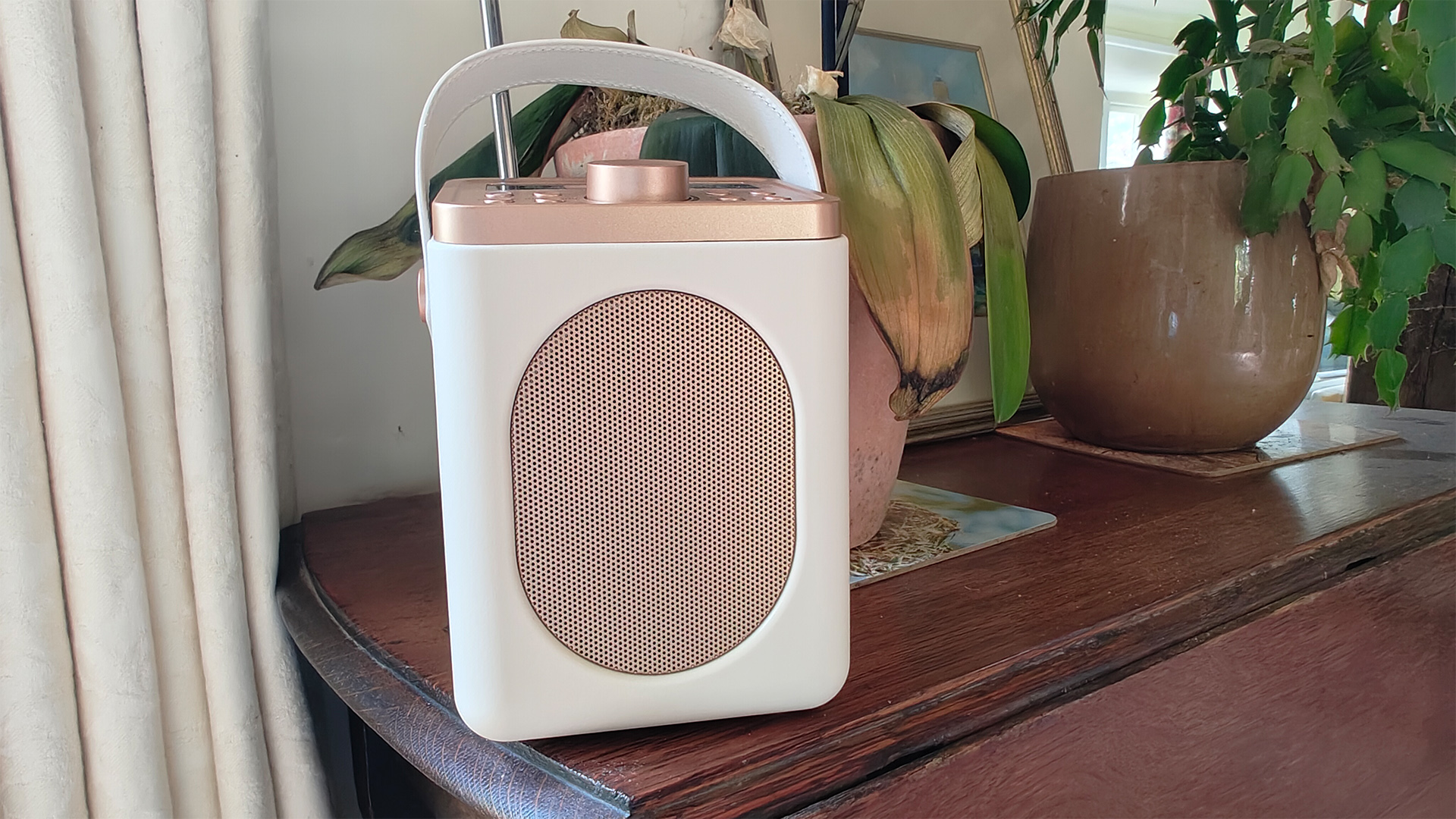 Majority Little Shelford DAB radio on wooden table next to plants