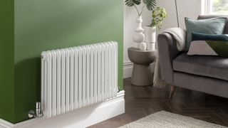 white column radiator in green living room