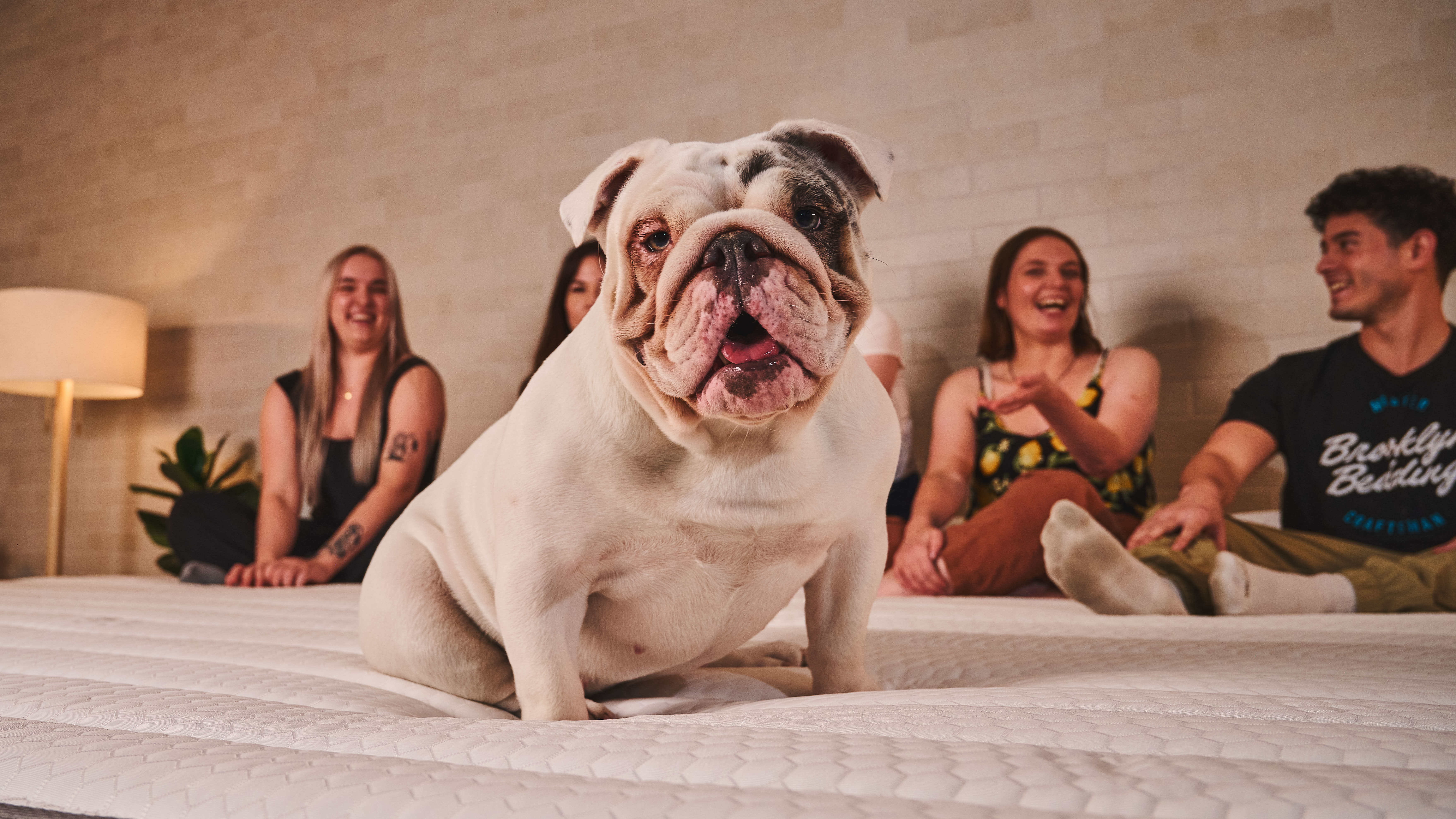 A closeup of a dog and five people sitting on a Nolah Luxe Alaskan King mattress, showing just how many people can fit on this oversized bed