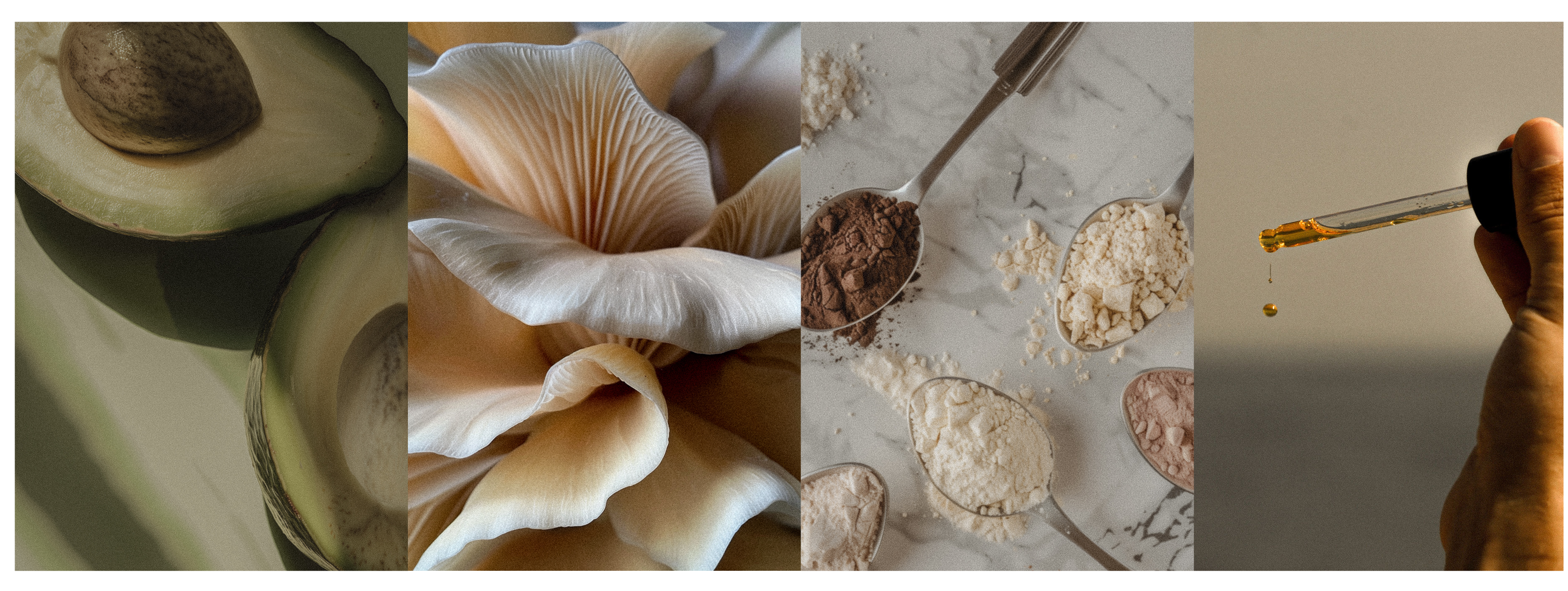 The Road To Immortality &amp;ndash; Inside the Elite World of Life Extension