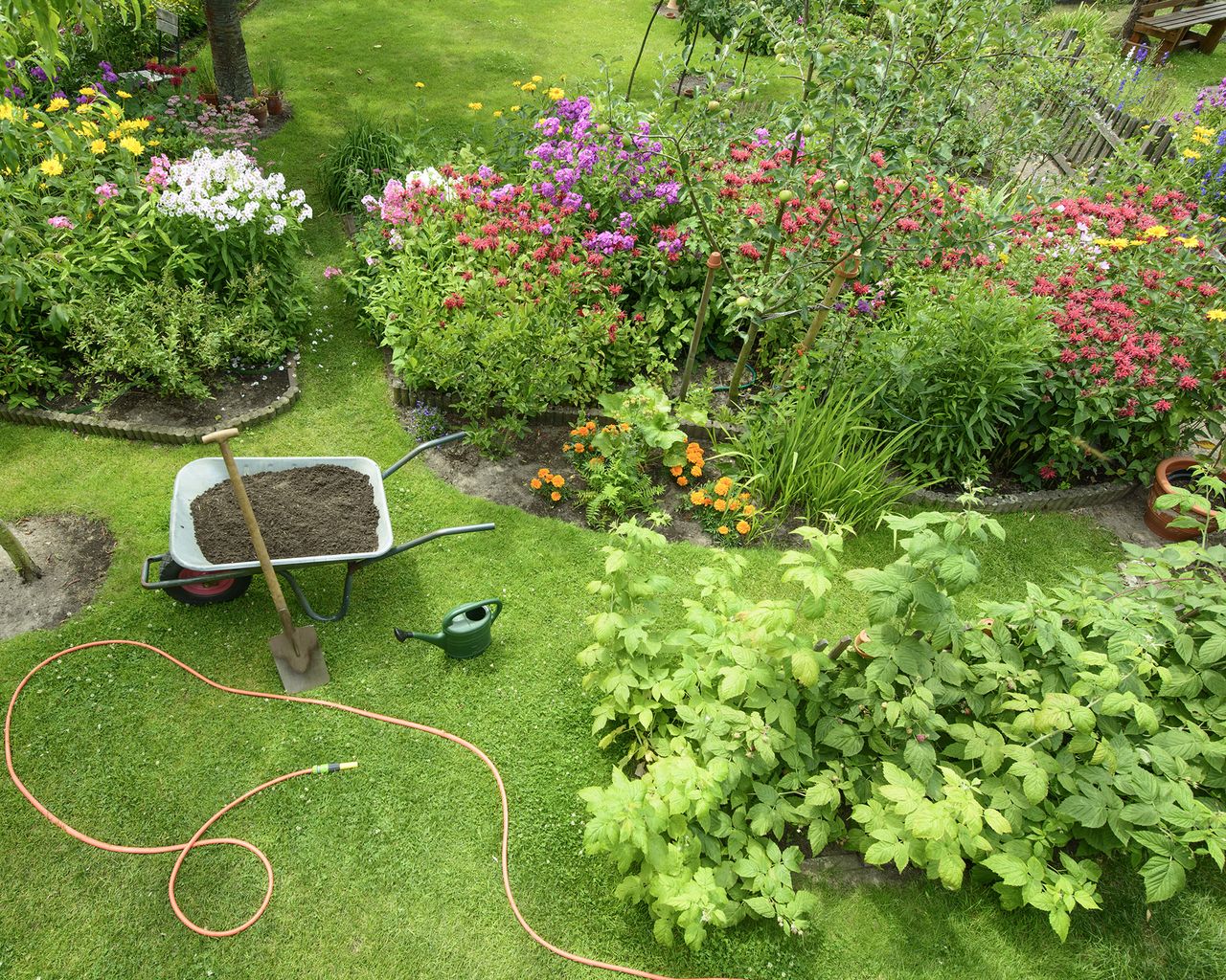 Killing grass in flower beds 5 methods for success Gardeningetc