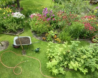 Formal planting beds in a garden with a wheelbarrow and hose