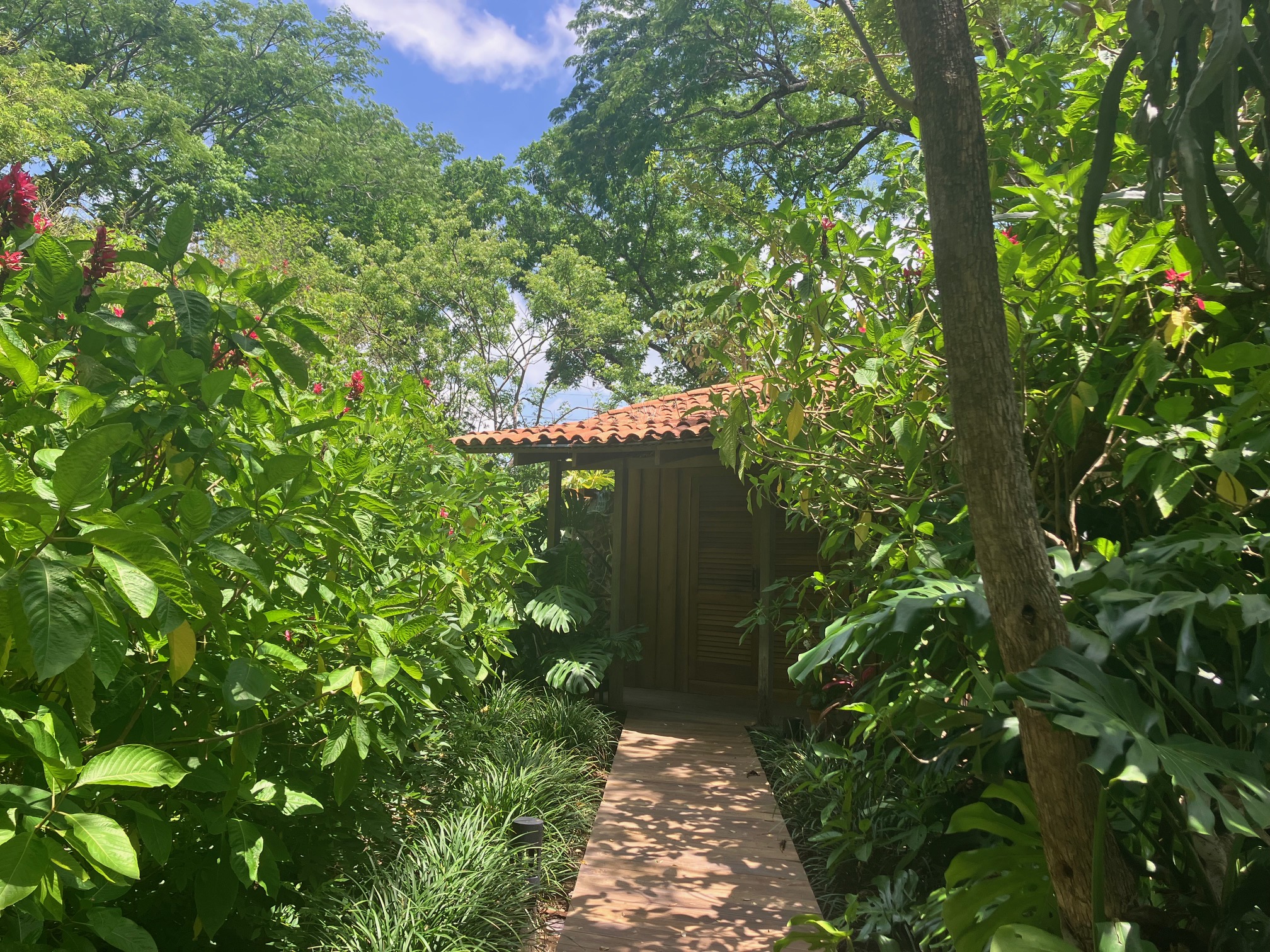 A wooden path in a forest leands to a small house with a clay tile roof in Costa Rica.