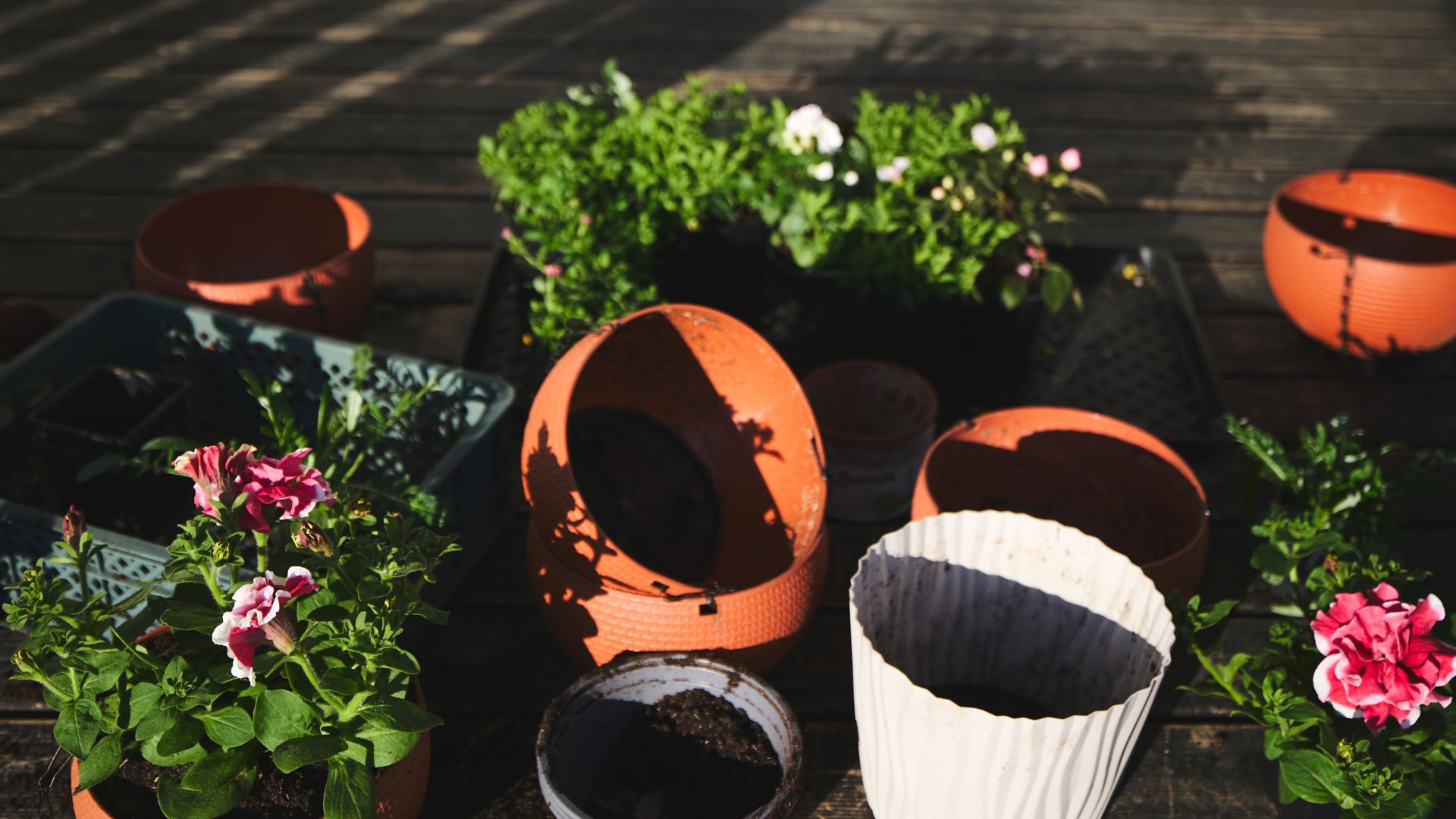 picture of plant pots and plants waiting to be planting