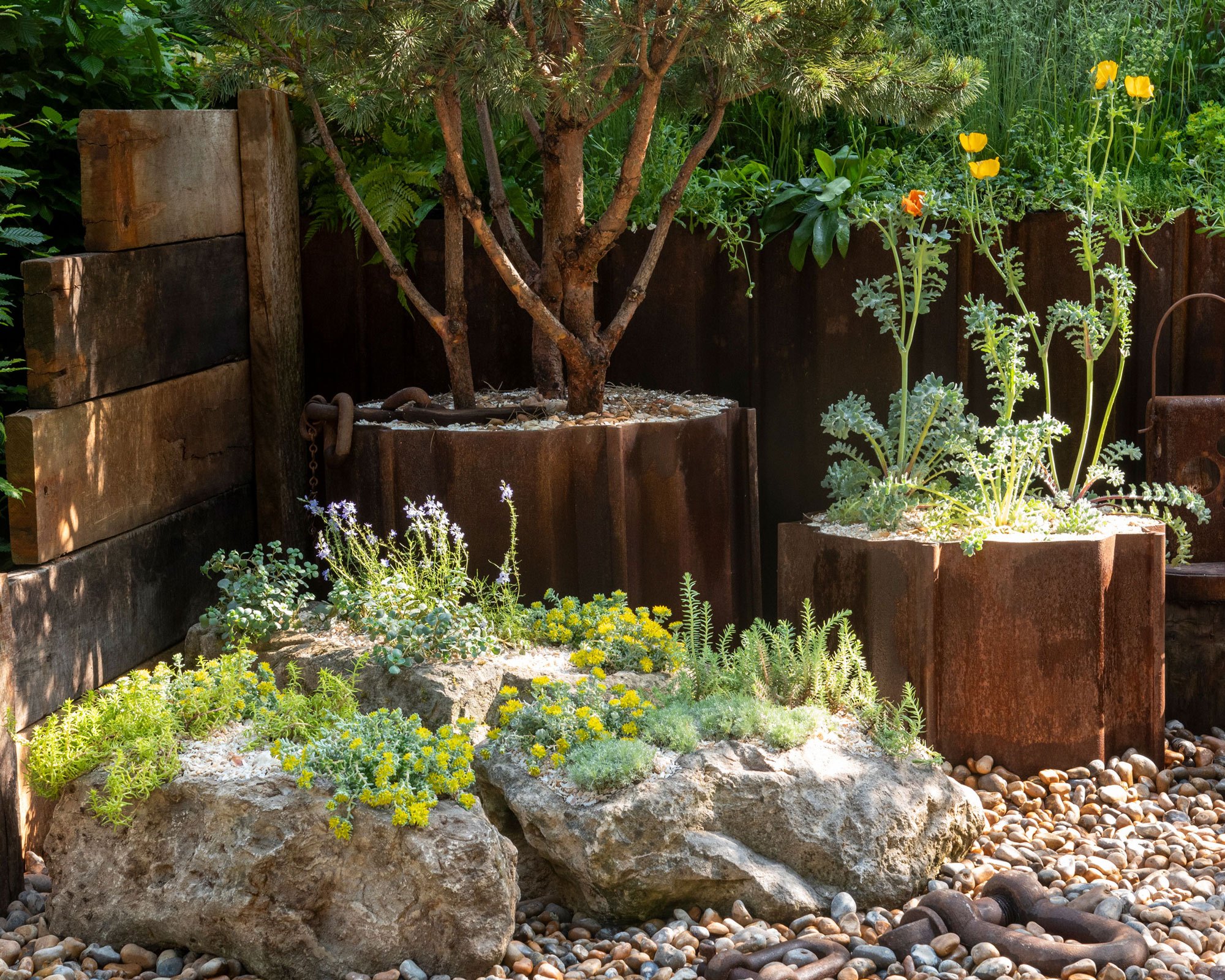 drought tolerant planting with a rockery, and containers with a multi-stem tree and yellow poppies, with pebble landscaping