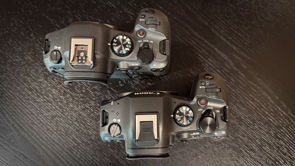 Canon EOS R6 Mark II vs R6 Mark III: What's the difference? | Digital ...