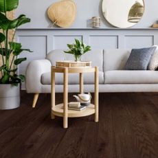 Modern white sofa and dark wood flooring