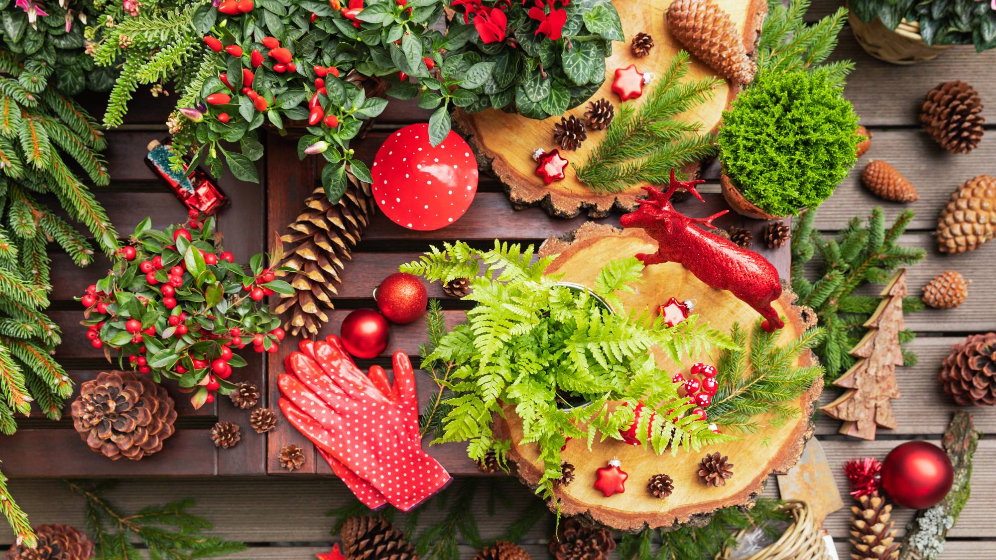 Christmas gardening DIY scene