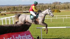 Young Dev ridden by Hugh Morgan jumps the last on the way to winning the Racing Again March 6th Handicap Chase at Navan racecourse. Picture date: Sunday February 21, 2021.