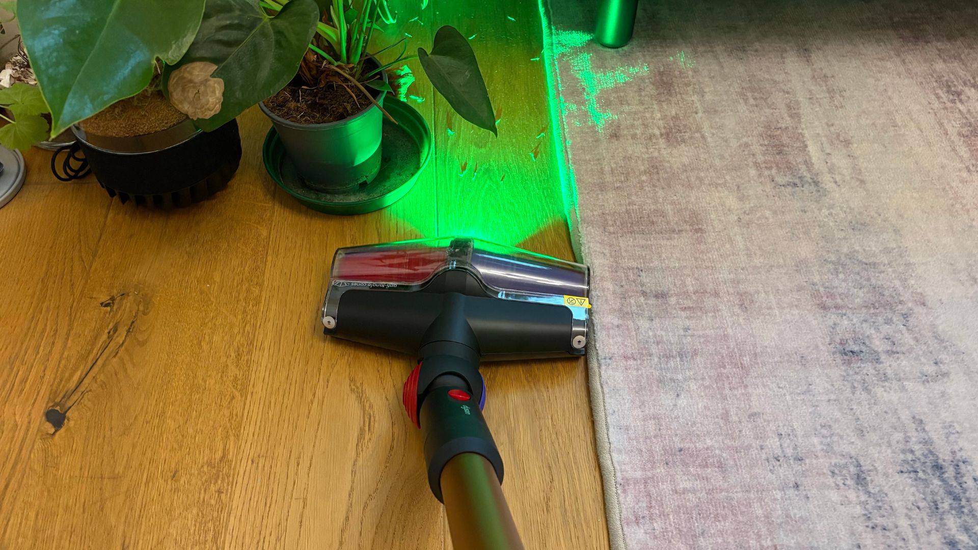 Testing the Dyson DS60 Piston Animal Vacuum