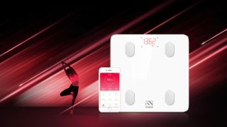 Fit-Index Smart Scale hero