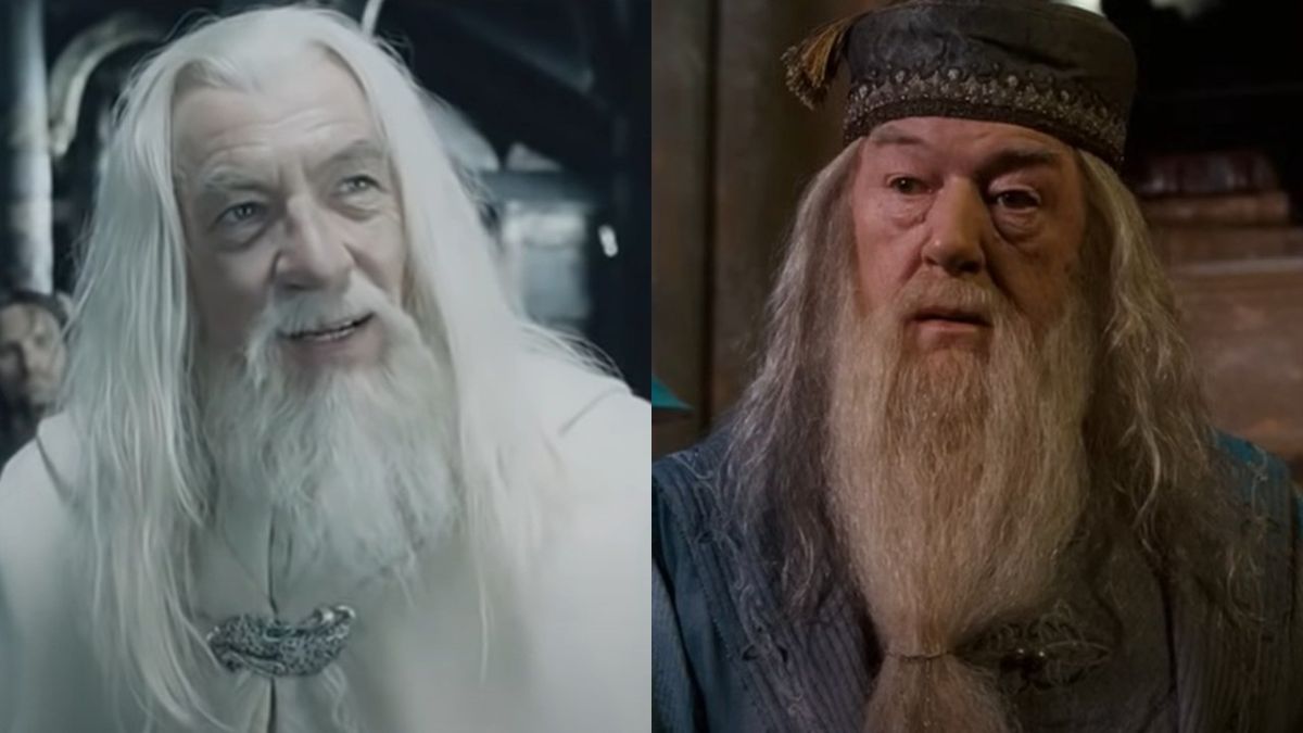 Gandalf And Dumbledore Frequently Get Mixed Up, And Ian McKellen Explained The Funny Way He And Michael Gambon Dealt With It