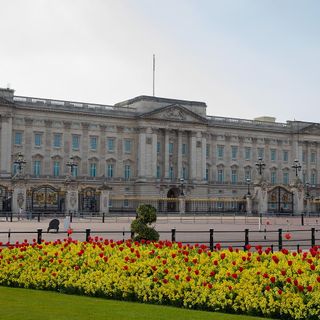 buckingham palace with garden and yellow flowers
