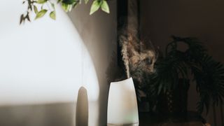 Air purifier vs essential oil diffuser: Image shows oil diffuser mist