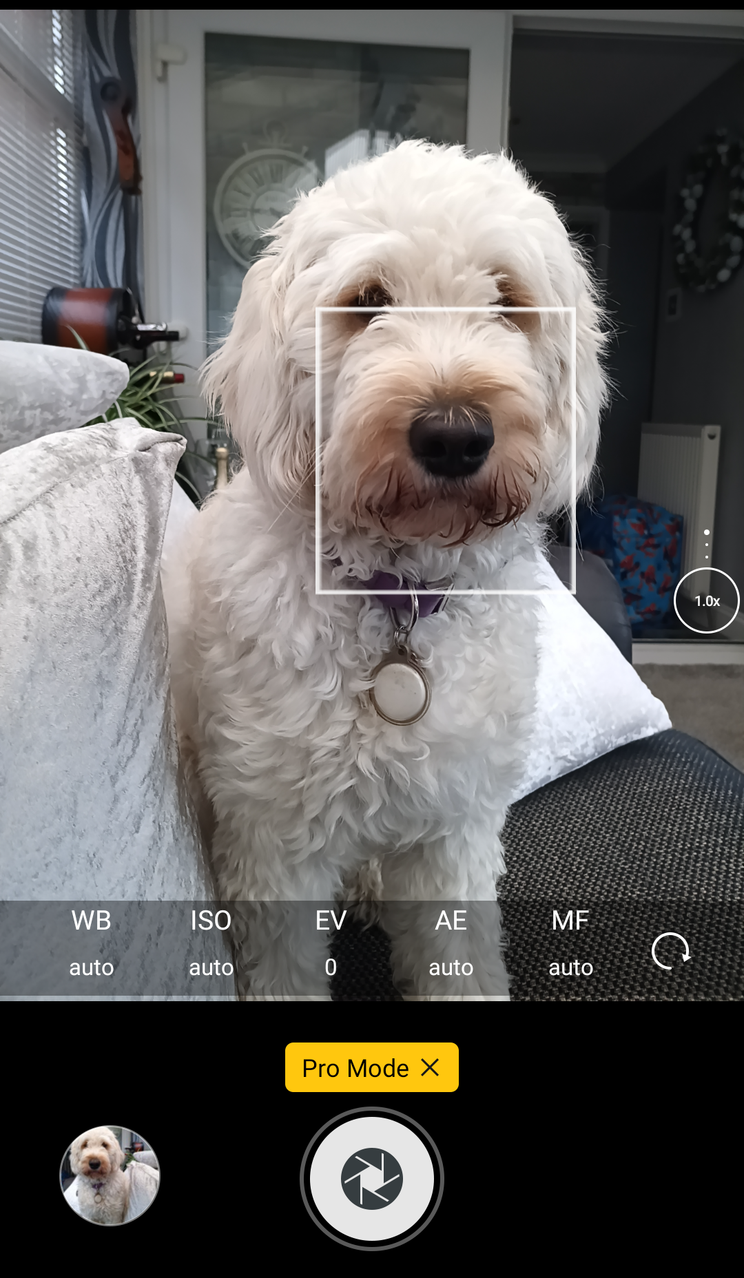 DOOGEE S98 Pro review