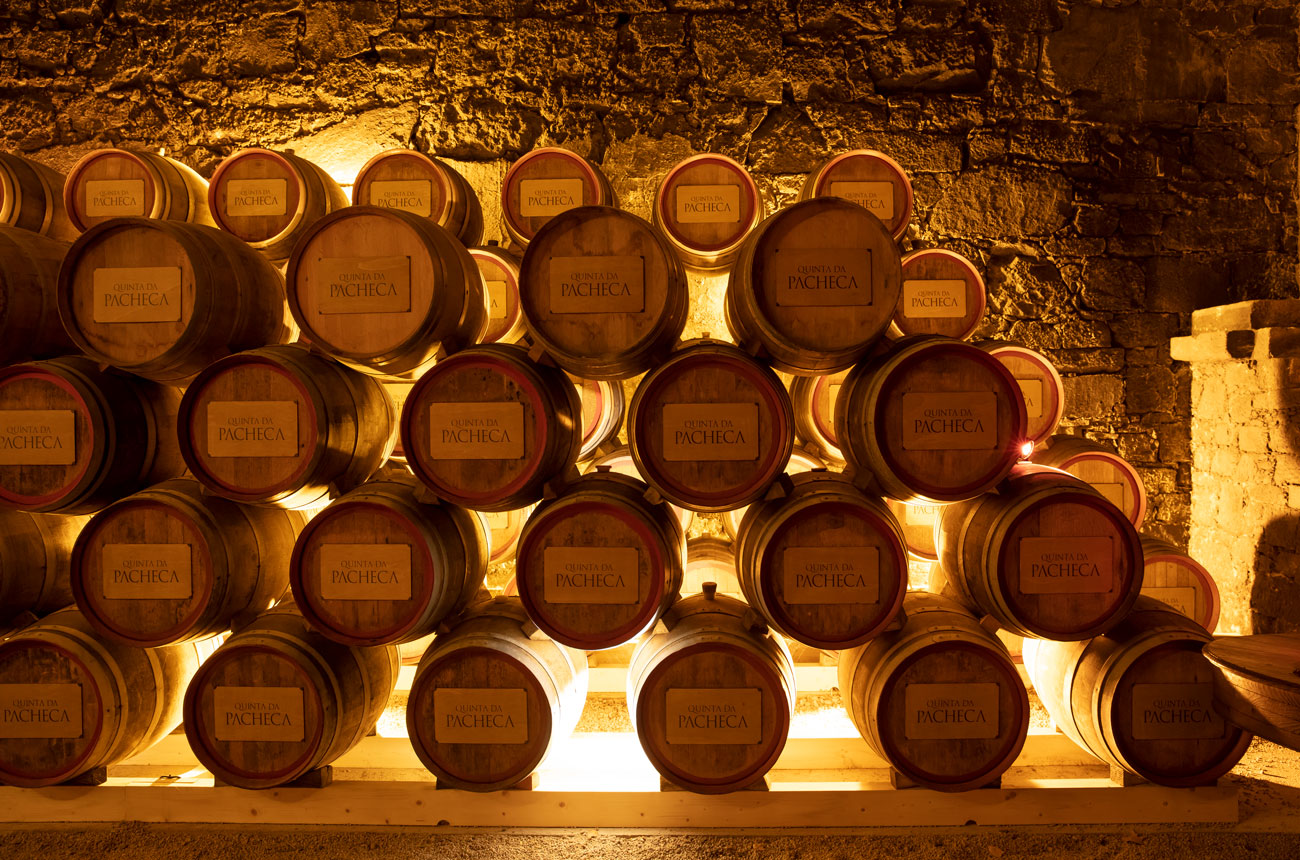 Port casks at Quinta da Pacheca