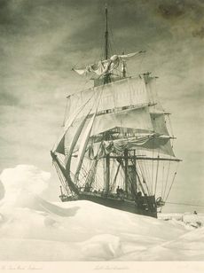 polar-auction-1-terra-nova-110915-02