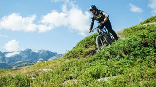 Rider in an Alpine meadow with mountain backdrop
