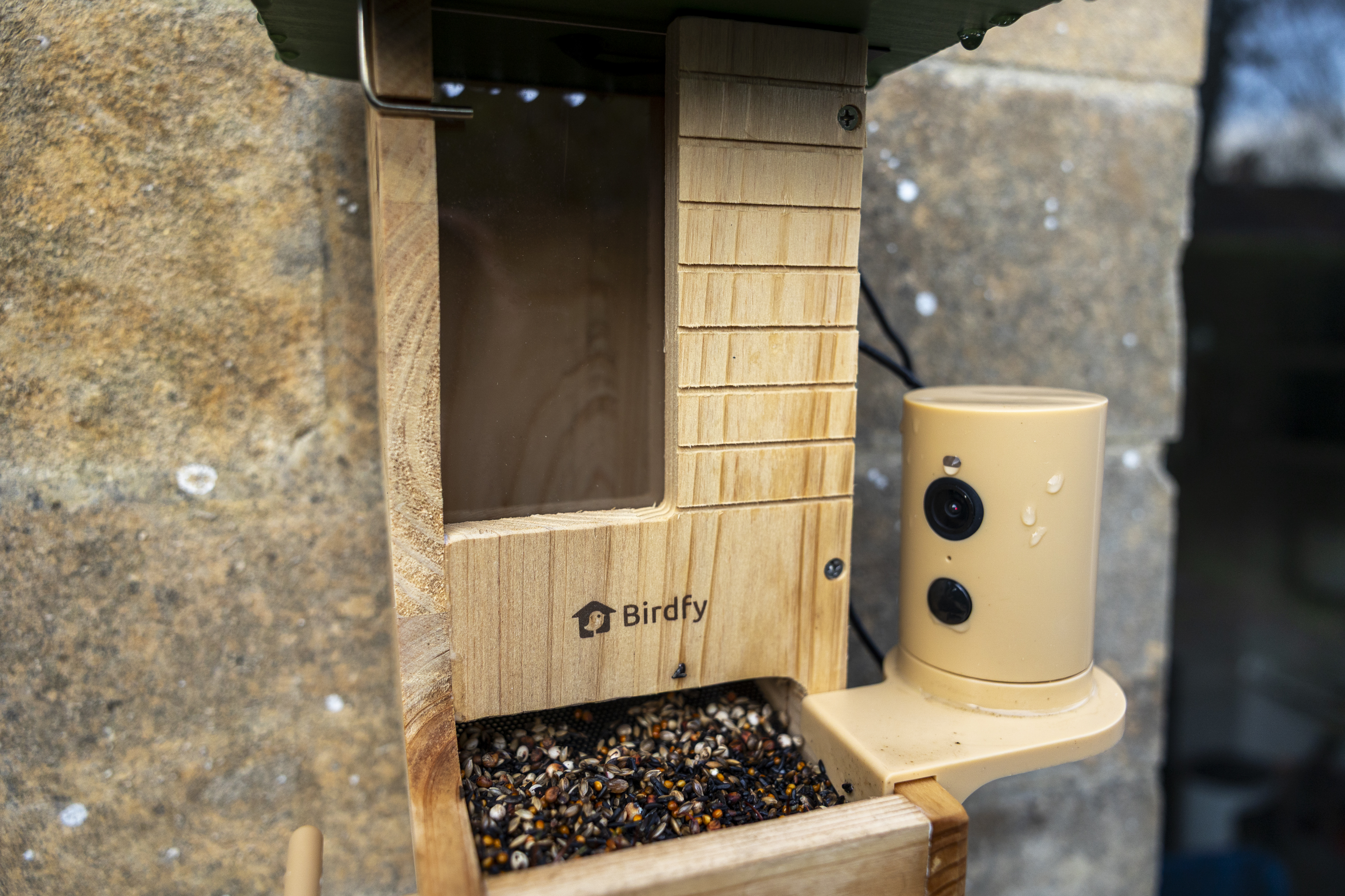 The Birdfy Wood feeder on a stone wall