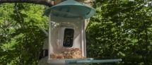 Netvue Birdfy Feeder AI review