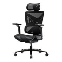 AndaSeat X-Air ProPC Gamer score: 81%