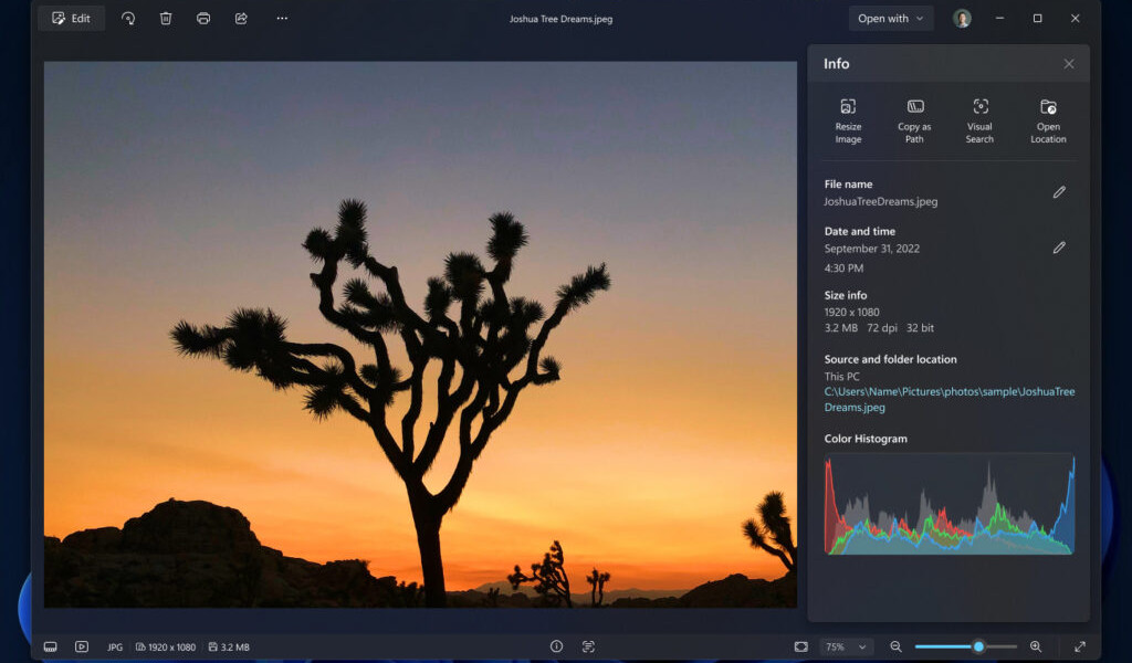 Windows 11 Photo Viewer