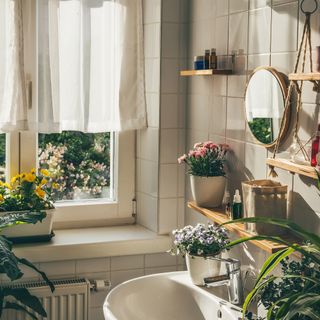 white bathroom sink and wall tiles with many plants and a mirror and open window