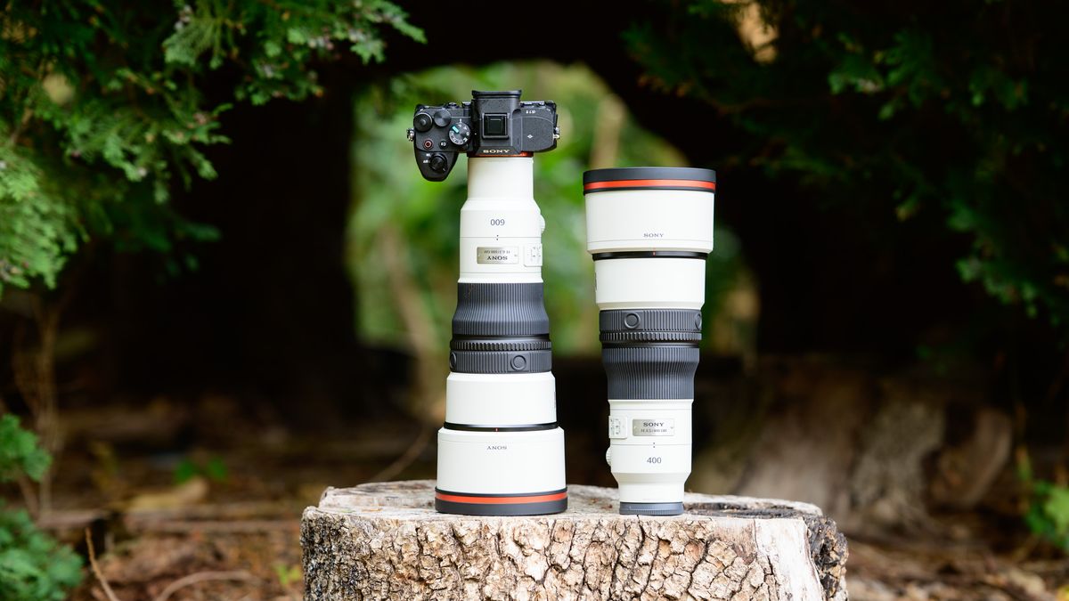 Sony FE 400mm F4.5 GM OSS and Sony FE 600mm F6.3 GM OSS super-telephoto lenses on a tree stump, with the 600mm attached to a Sony A7R V camera