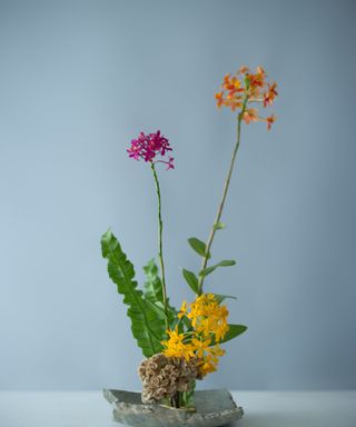 A Ikeaba flower arrangement with bright purple and orange flowers