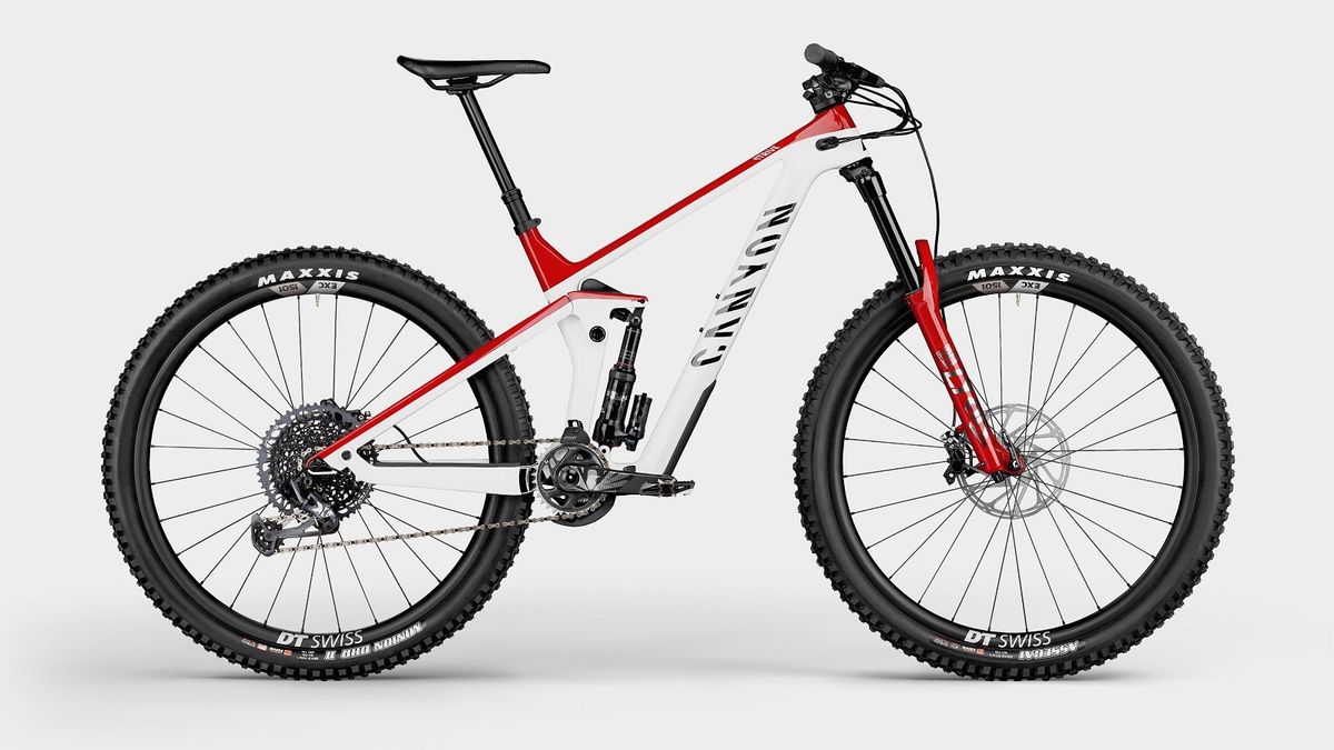 Canyon cheap strive 29er