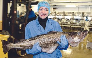 It’s a fishy week for the Inside the Factory team as a new series gets under way following a Christmas one-off.