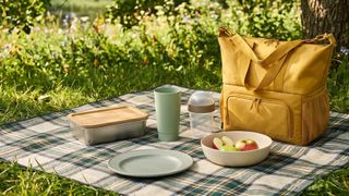IKEA's understated picnic set is ultra-classy &mdash; I'm not surprised it's selling fast