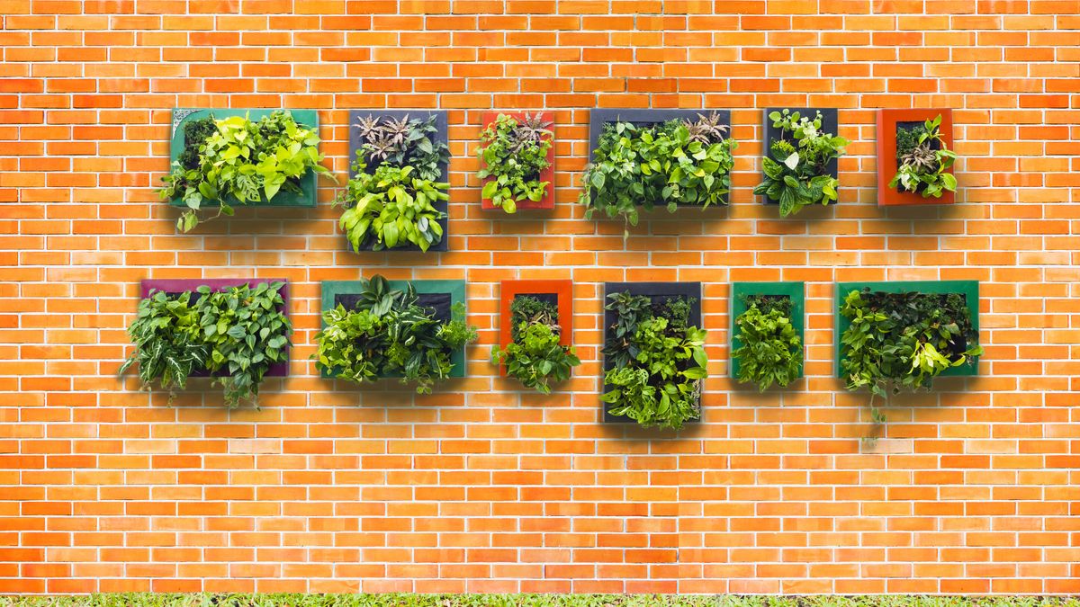 5 Easy Ways To Grow A Vertical Garden And Save Space Tom S Guide