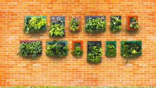 Wall-mounted planters on garden wall