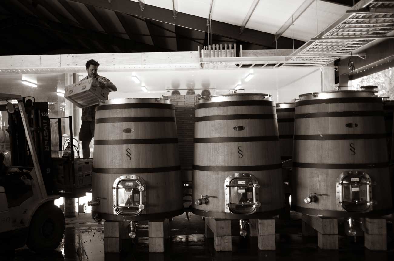 Pyramid Valley Waikari winery